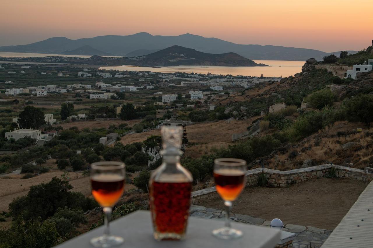 Naxos City Alta Vista Naxosアパートホテル エクステリア 写真