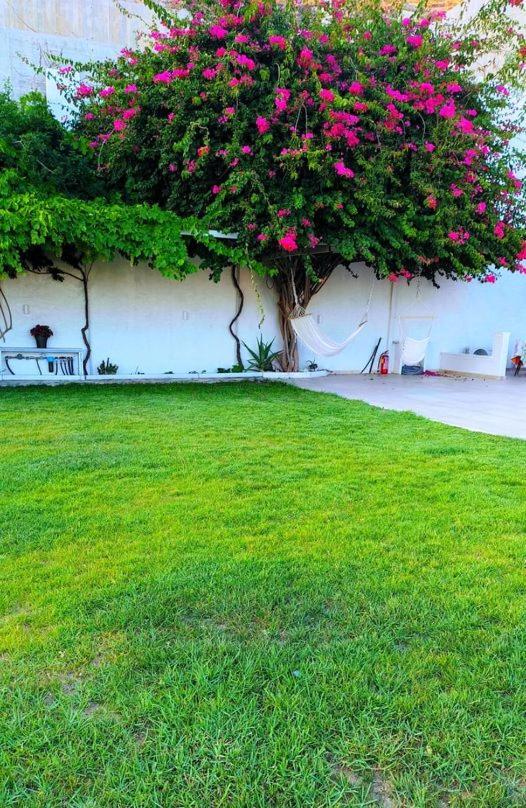 Naxos City Alta Vista Naxosアパートホテル エクステリア 写真